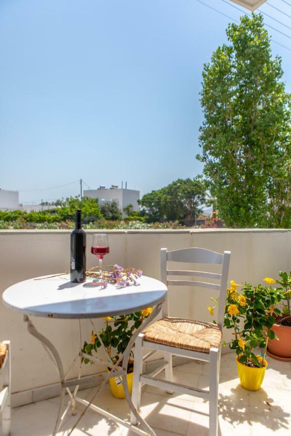 Apanemi Beachhouse Naxos City Екстериор снимка